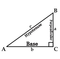 Trig-SomePeopleHaveCurlyBrownHairTillPaintedBlack - Private Tutoring