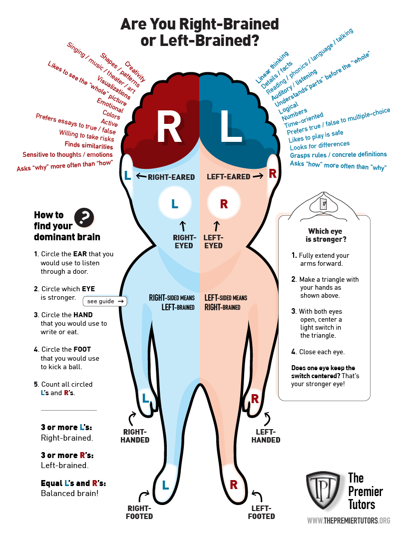 Are You Right Brained Or Left Brained That Is The Question 